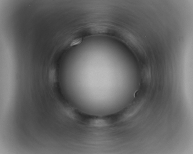 X0000110920224200906251424