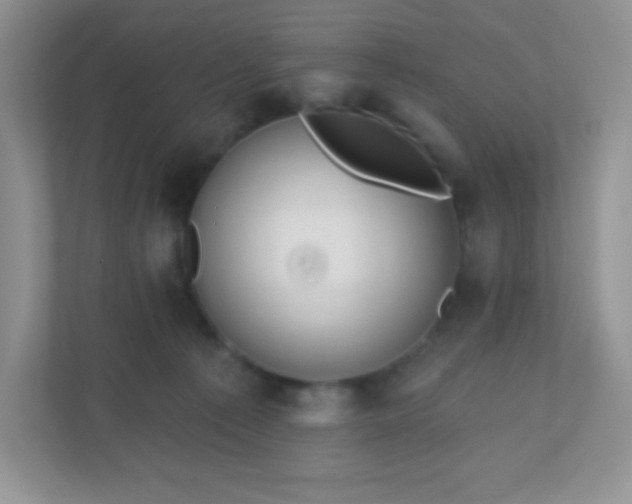 X0000110920225200906251424