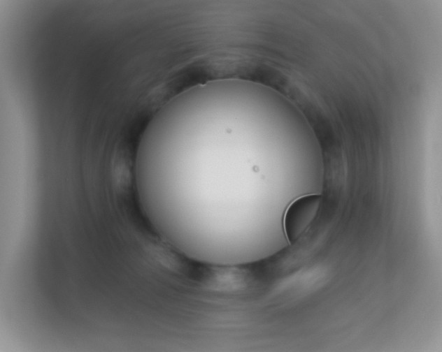 X0000110920226200906251424