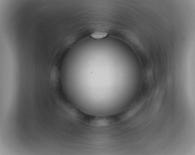 X0000110920228200906251424