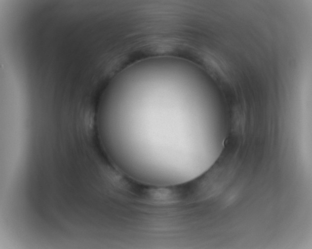 X0000110920230200906251424