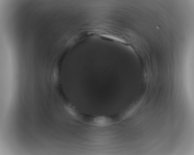 X0000110920231200906251424
