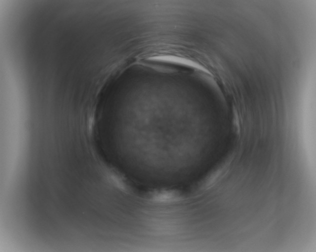 X0000110920235200906251424