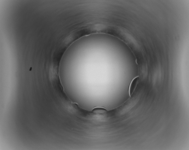 X0000110920236200906251424