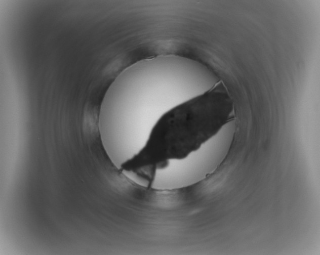 X0000110920240200906251424