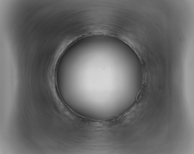 X0000110920241200906251424