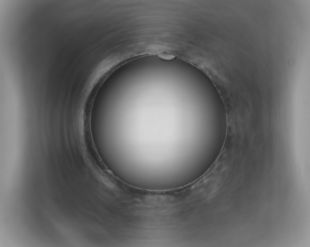 X0000110920242200906251424