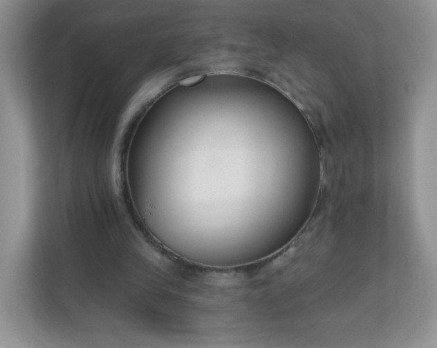 X0000110920245200906251424