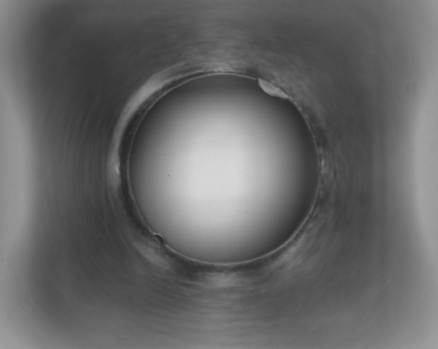 X0000110920246200906251424