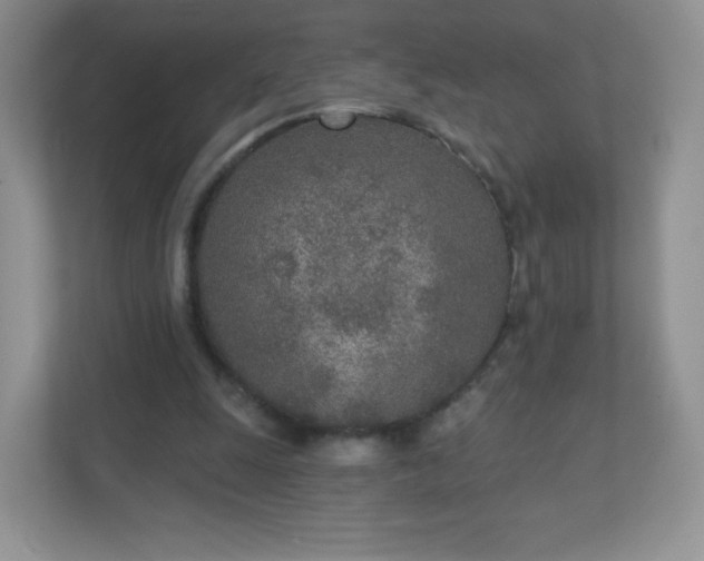 X0000110920247200906251424