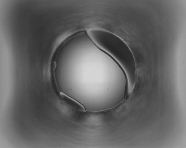 X0000110920248200906251424