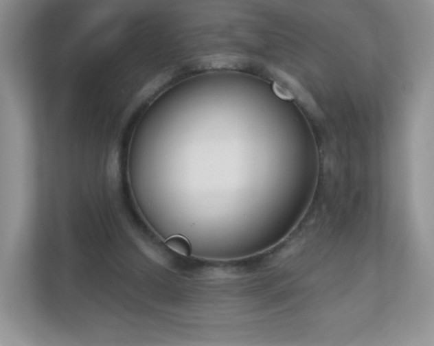 X0000110920250200906251424