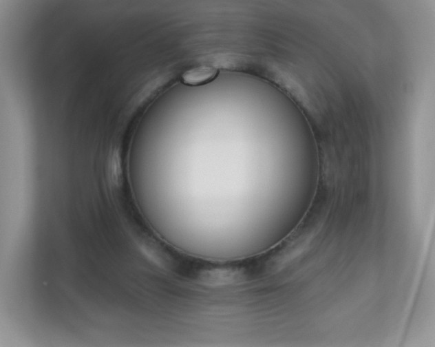 X0000110920251200906251424
