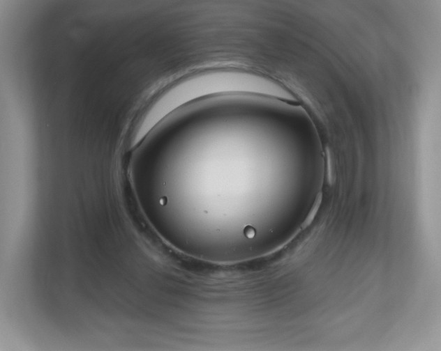 X0000110920252200906251424