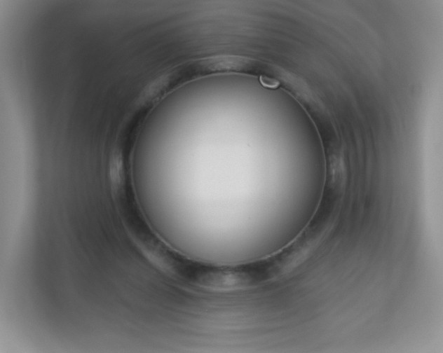 X0000110920254200906251424