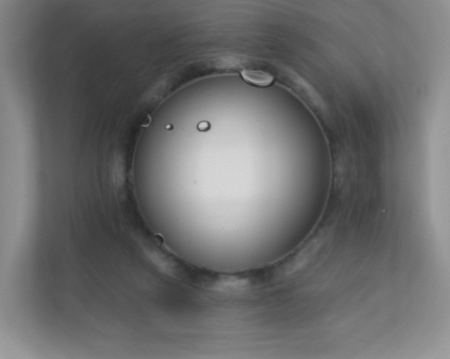 X0000110920257200906251424
