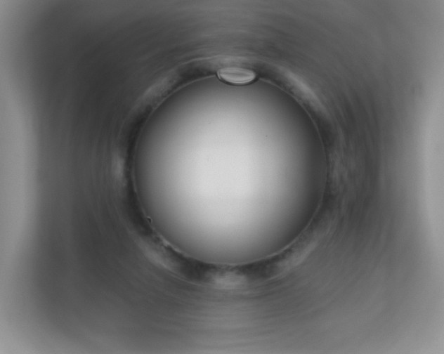 X0000110920258200906251424