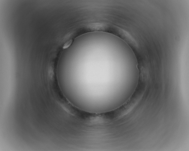 X0000110920259200906251424
