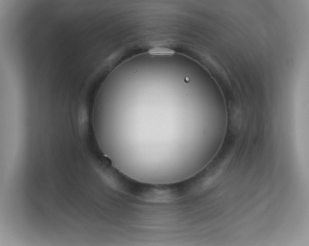 X0000110920260200906251424