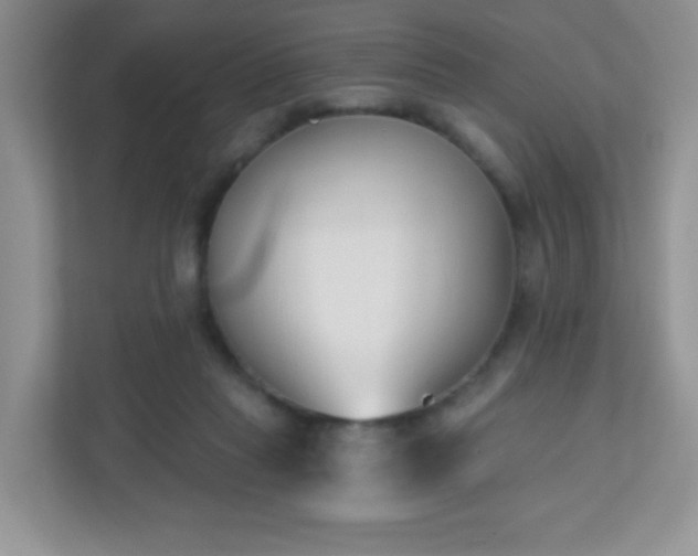 X0000110920261200906251424