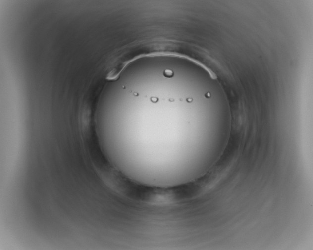 X0000110920263200906251424