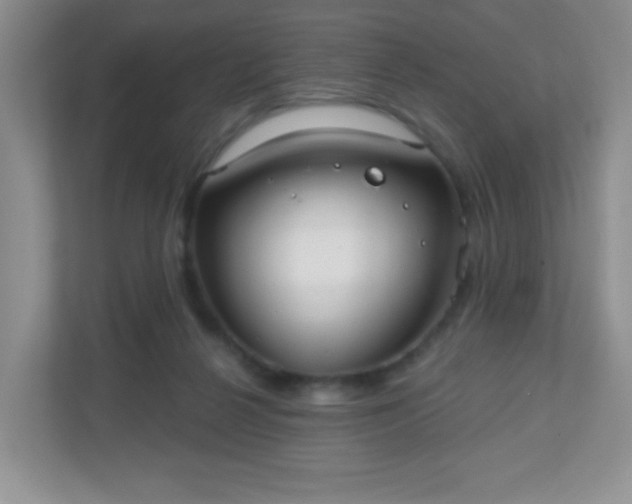 X0000110920264200906251424