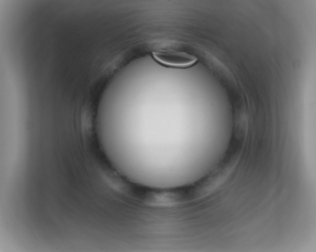 X0000110920268200906251424