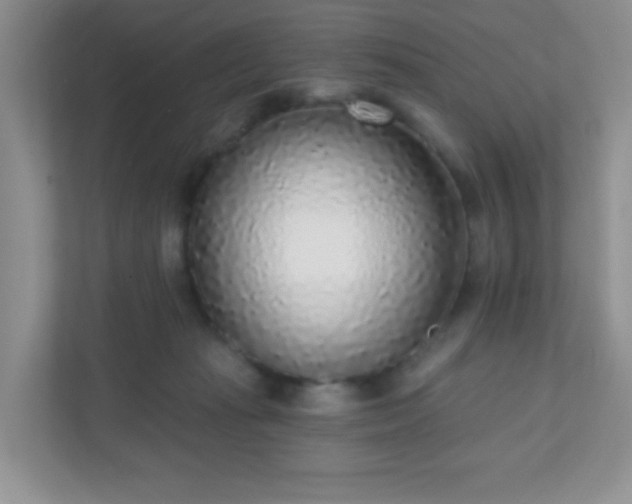 X0000110920269200906251424
