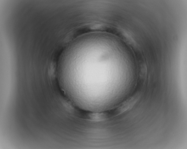 X0000110920273200906251424