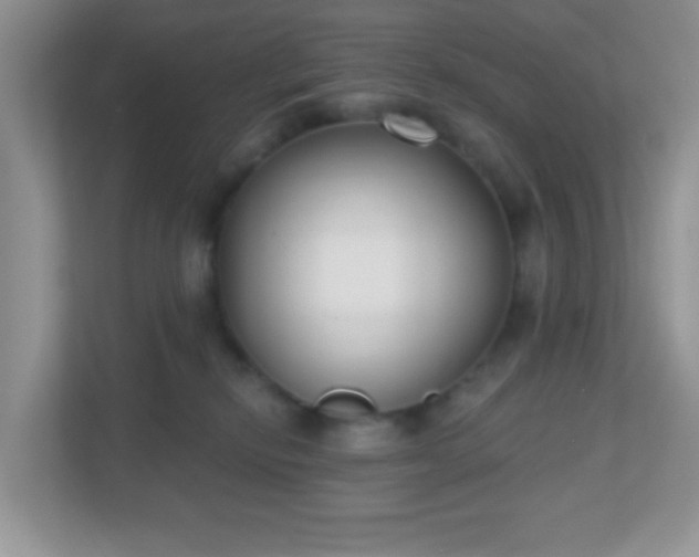 X0000110920278200906251424
