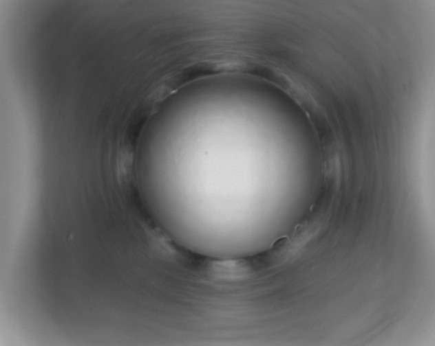 X0000110920281200906251424