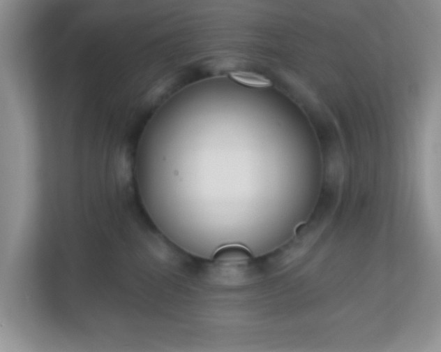 X0000110920282200906251424
