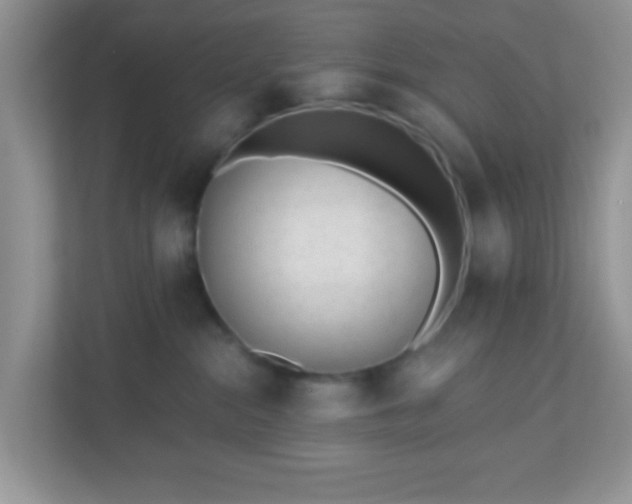 X0000110920284200906251424