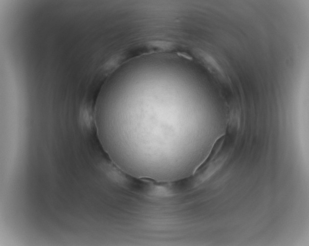 X0000110920285200906251424