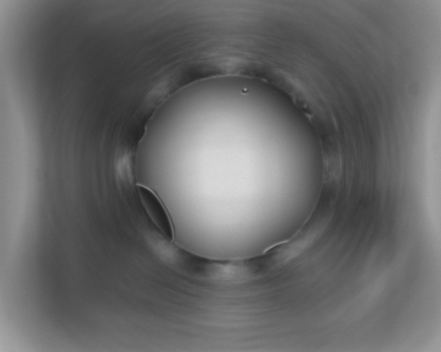 X0000110920286200906251424
