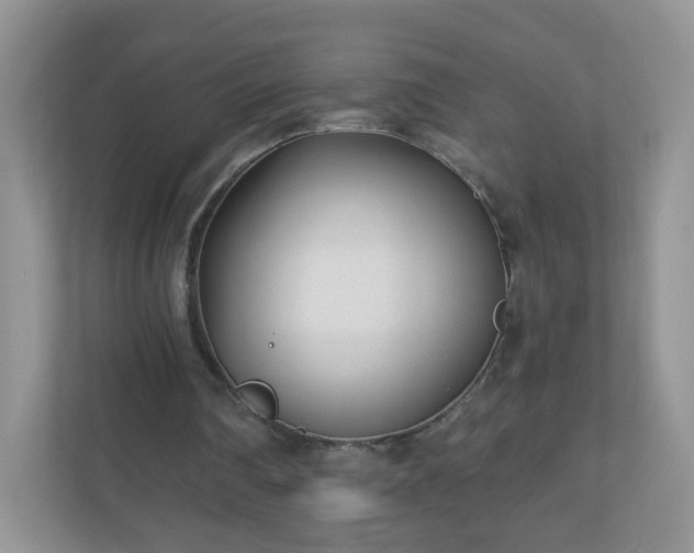 X0000110920290200906251424