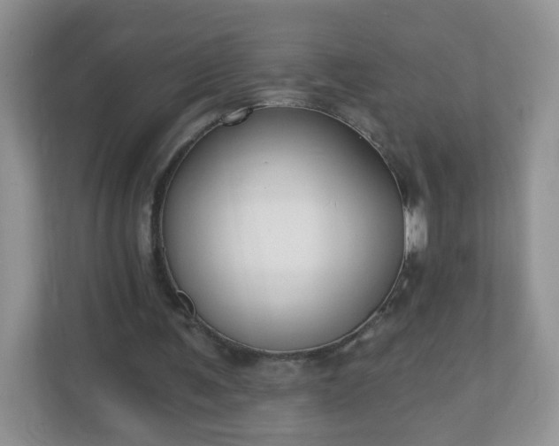 X0000110920291200906251423