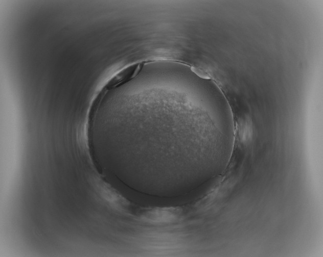 X0000110920292200906251423