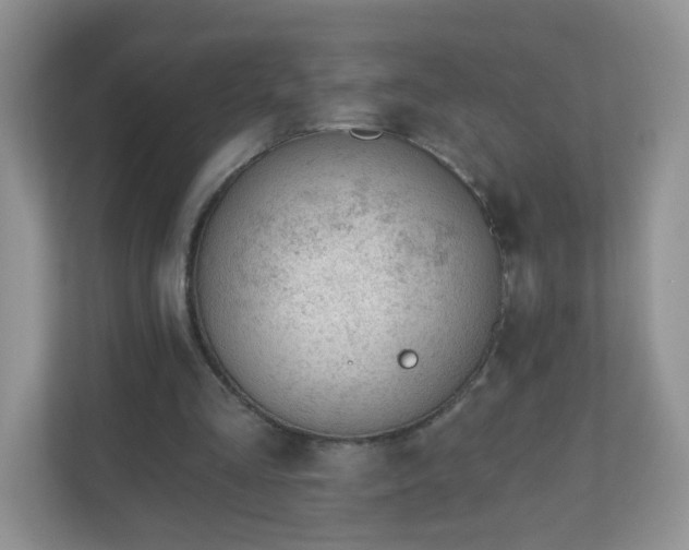 X0000110920293200906251423