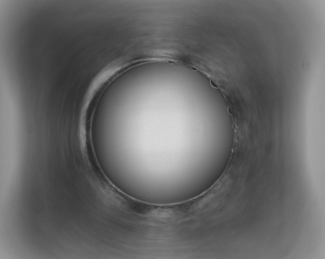 X0000110920294200906251423