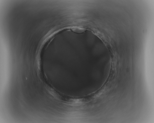 X0000110920295200906251423