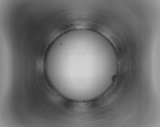 X0000110920297200906251423