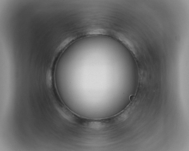 X0000110920298200906251423