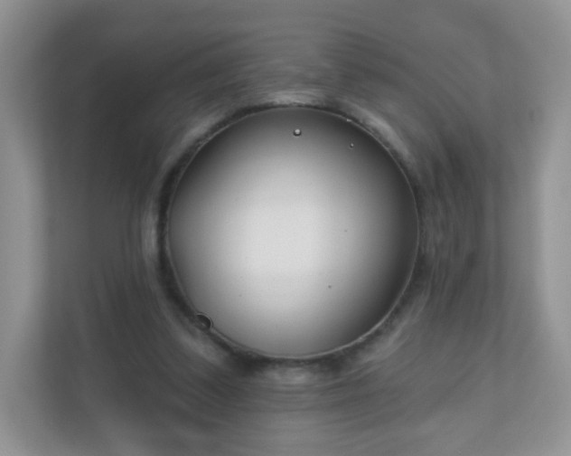 X0000110920299200906251423