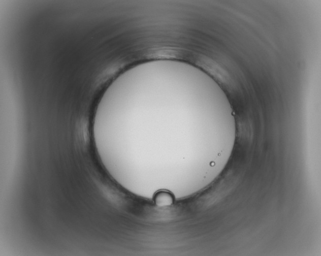X0000110920302200906251423