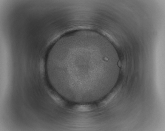 X0000110920303200906251423