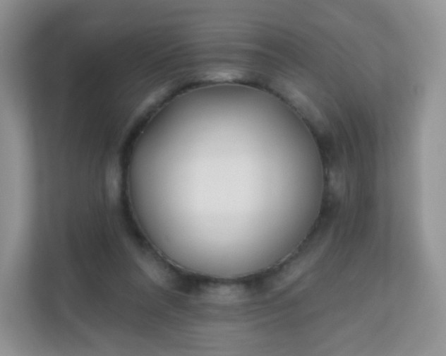 X0000110920304200906251423
