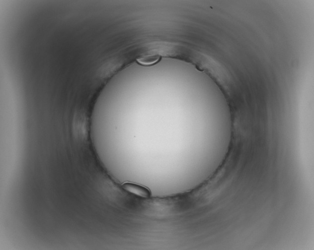 X0000110920305200906251423