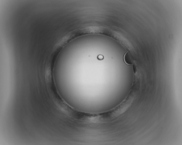 X0000110920306200906251423