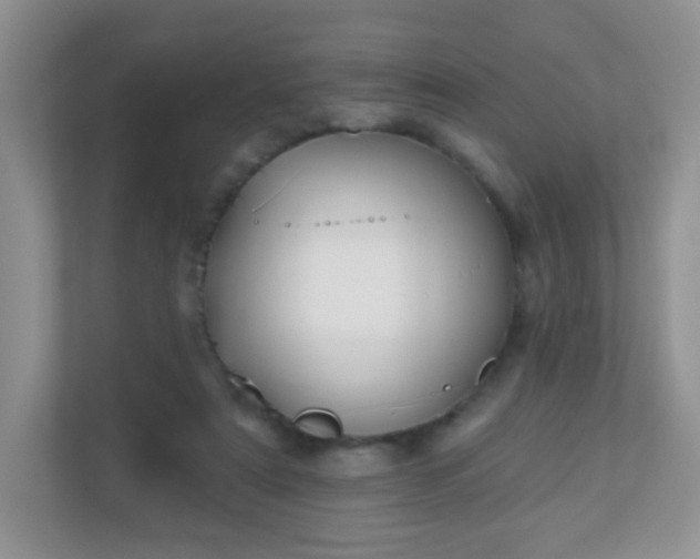 X0000110920307200906251423